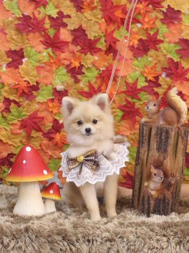 20241119クーくん